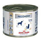 Royal Canin FVD/CVD Recovery 12x0,195kg