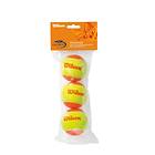 Wilson Starter Orange (3 balls)