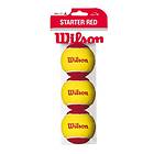 Wilson Starter Red (3 balls)