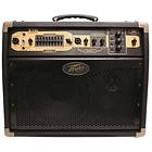 Peavey Ecoustic E110