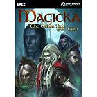 Magicka: The Other Side of the Coin (PC)