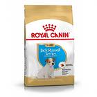 Royal Canin BHN Jack Russell Puppy 1,5kg