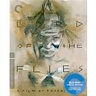 Lord of the Flies - Criterion Collection (US) (Blu-ray)