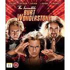 The Incredible Burt Wonderstone (DVD)