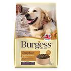 Burgess Sensitive Adult British Turkey & Rice 2kg
