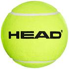 Head Medium (1 ball)