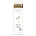 Cattier Paris Eclat De Rose Eye Contour 15ml