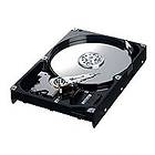 Samsung SpinPoint S166 HD082GJ 8MB 80GB