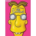 The Simpsons - Season 16 - Limited Edition (DVD)