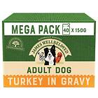 James Wellbeloved Dog Pouches Adult Turkey & Rice 40x0.15kg