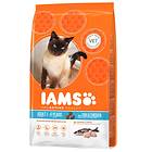 Iams ProActive Cat Adult Ocean Fish & Chicken 10kg