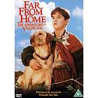 Far from Home: The Adventures of Yellow Dog (UK) (DVD)