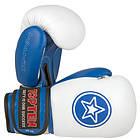 Top Ten Fight Sparring Gloves (2068)