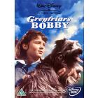 Greyfriars Bobby (UK) (DVD)
