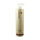 Kaeso Rebalancing Cleanser 495ml