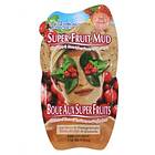 Montagne Jeunesse Super Fruit Mud Goji Berry & Pomegranate Mask 15g