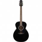 Takamine GN30