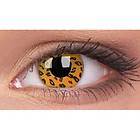 Crazy Linser Leopard (2-pack)