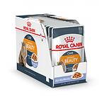 Royal Canin FHN Intense Beauty Jelly 6x0,085kg