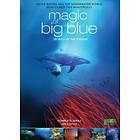 Discovery Magic of the Big Blue (DVD)