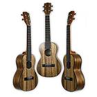 Kala KA-PWT Tenor