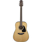 Takamine GD10