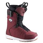 Salomon Launch