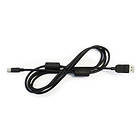 Eizo PM200K DisplayPort - DisplayPort Mini 2m