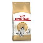 Royal Canin Breed Norwegian Forest Cat 0.4kg