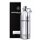 Montale Paris Ginger Musk edp 100ml