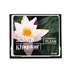 Kingston Compact Flash 256MB