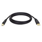 Tripp Lite Gold USB A - USB B 2.0 1.8m