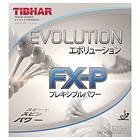 Tibhar Evolution FX-P