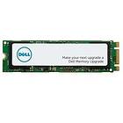 Dell MTT20 256GB