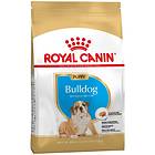 Royal Canin BHN Bulldog Puppy 12kg
