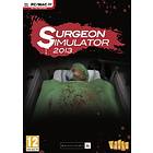 Surgeon Simulator 2013 (PC)