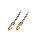 Lindy Premium Gold Video 1RCA - 1RCA 0.5m