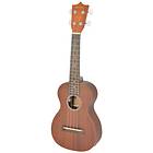 AVSL Chord SU24E