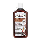 Jason Natural Cosmetics Dandruff Relief 2in1 355ml