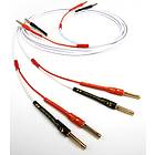 Chord Sarsen 6m