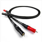 Chord Signature Tuned ARAY 2RCA - 2RCA 2m