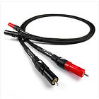 Chord Signature Tuned ARAY 2RCA - 2RCA 3m