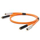 Neo by Oyaide d+ Class A 2RCA - 2RCA 1m