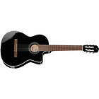 Takamine GC1