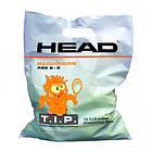 Head Tip Orange (72 balls)