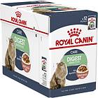 Royal Canin FHN Digest Sensitive Gravy 12x0.085kg