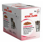 Royal Canin FHN Instinctive Kitten Jelly 12x0.085kg