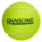 Ransome Tennis Balls (12 balls)