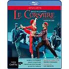 Le Corsaire (2013) (Blu-ray)