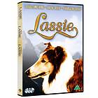 Lassie Come Home + Son of Lassie + Courage of Lassie (DVD)